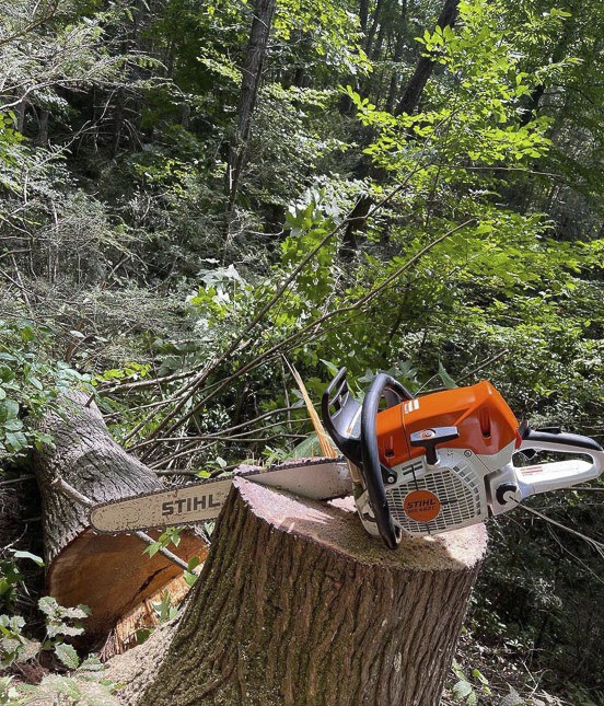 Crazy Irish Tree Service-24