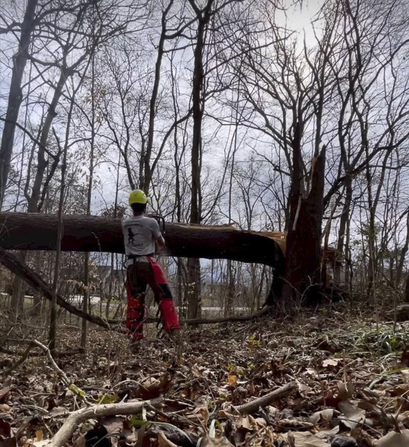 Crazy Irish Tree Service-25