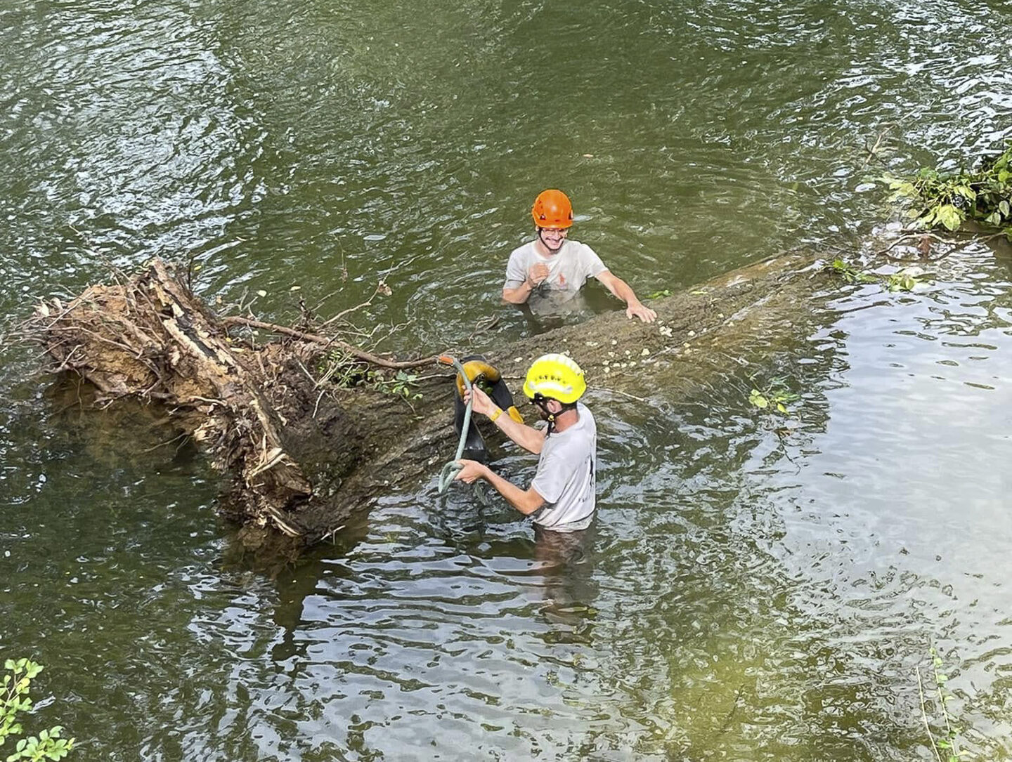 Crazy Irish Tree Service-31