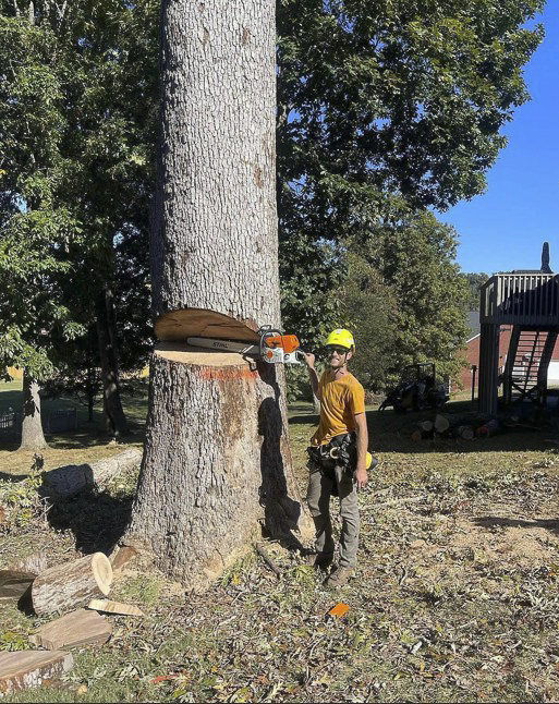 Crazy Irish Tree Service-41