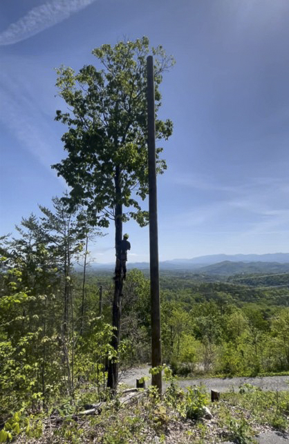 Crazy Irish Tree Service-46